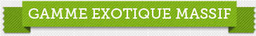 Gamme exotique massif